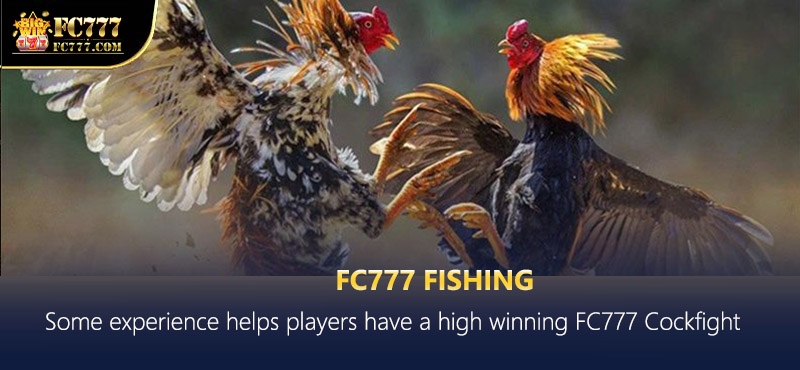 Reputable betting hall is available at the FB777 cockfighting